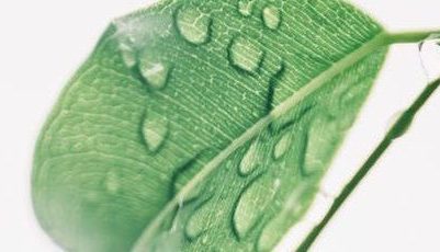 Portobello Natural Health